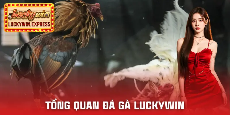 da-ga-luckywin-goc-nhin-tong-quan